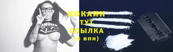 твердый Михайловка