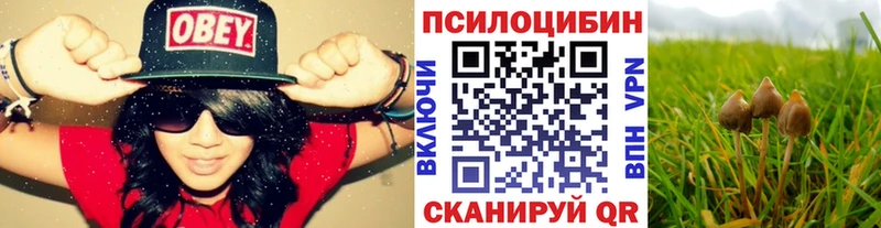 darknet какой сайт  сколько стоит  Галич  Галлюциногенные грибы Psilocybine cubensis 